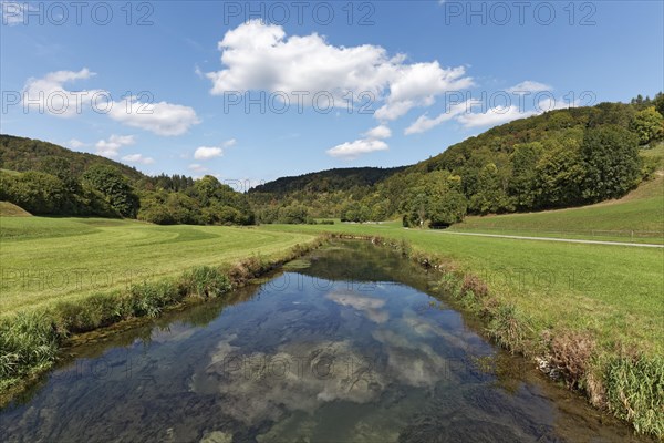 Summer landscape with meadows and streams