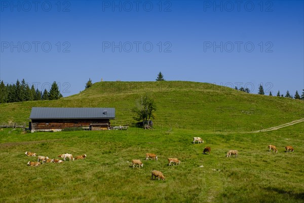 Langenbergalm