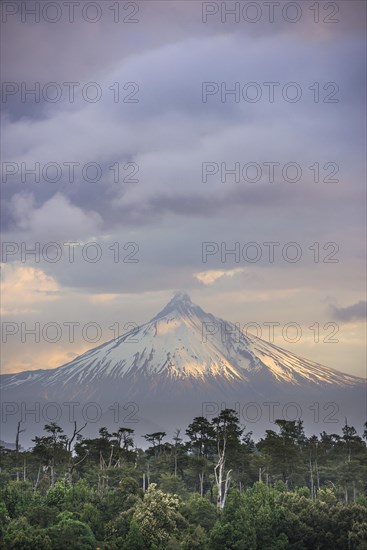 Puyehue volcano in the evening light