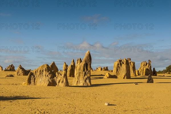 The Pinnacles limestone formations