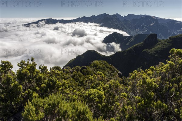 View of the mountains of the Parque Natural da Madeira