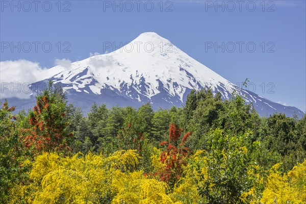 Osorno volcano