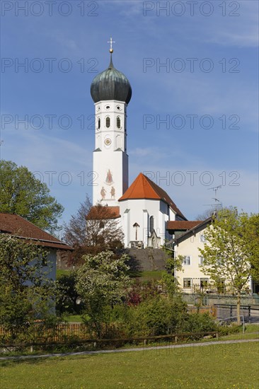 Parish of the Assumption