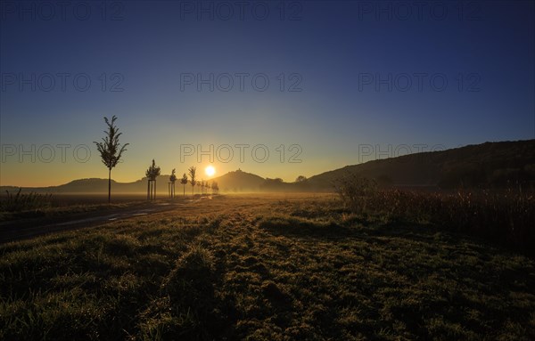 Veste Wachsenburg castle in the morning