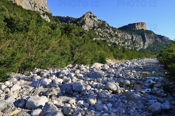 Almost dry river bed of the Riu Fiumineddu