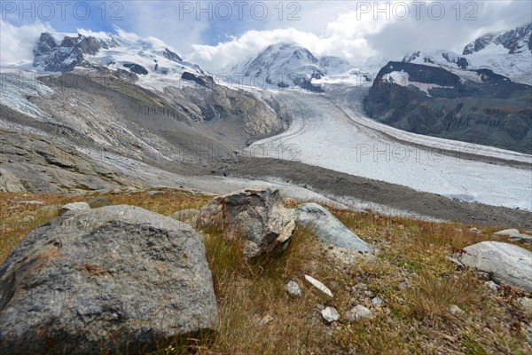 Gorner Glacier in the Monte Rosa area