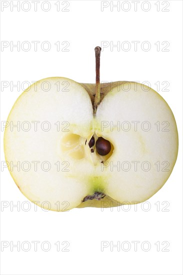 Apple variety Auralia