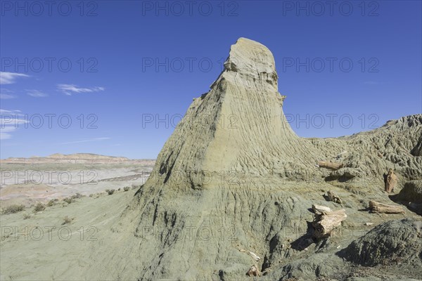 Petrified forest Bosque Petrificado National Monument