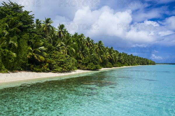 White sand beach and turquoise water in the Ant Atoll