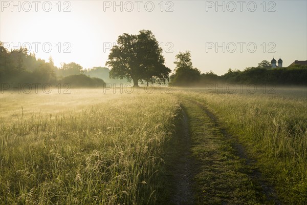 Morning atmosphere