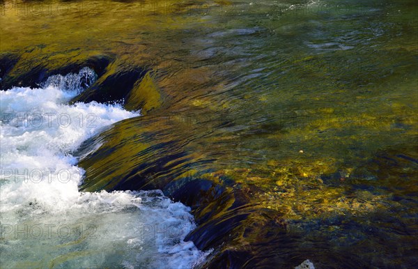 Mountain stream cascading over moss-covered rocks near Fischbachau