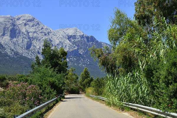 Highway and the Supramonte massif