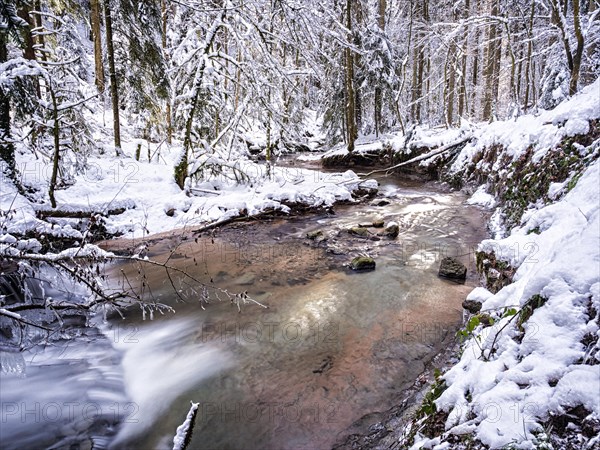 Strumpfelbach brook in the snowy forest