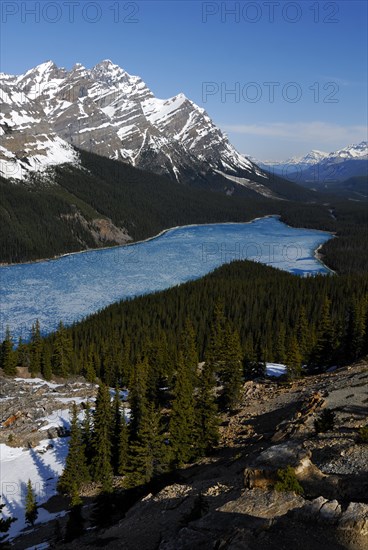 Glacial Peyto Lake in spring with a thin sheet of ice