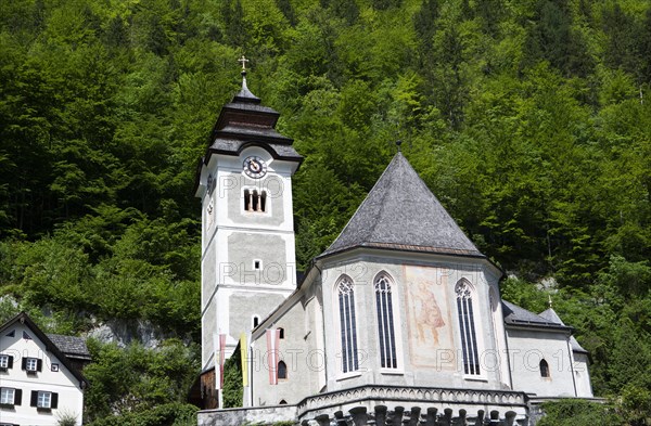 Catholic Church