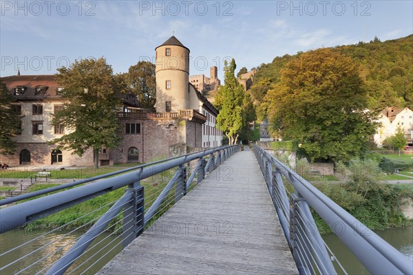 View over the Tauber to the former Princely royal household