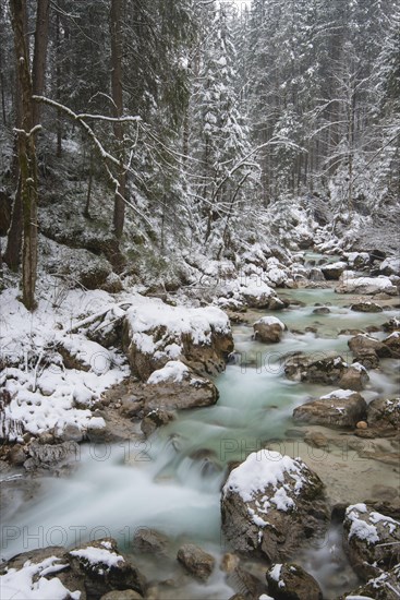 Winter in the Ramsauer Ache in the Zauberwald forest