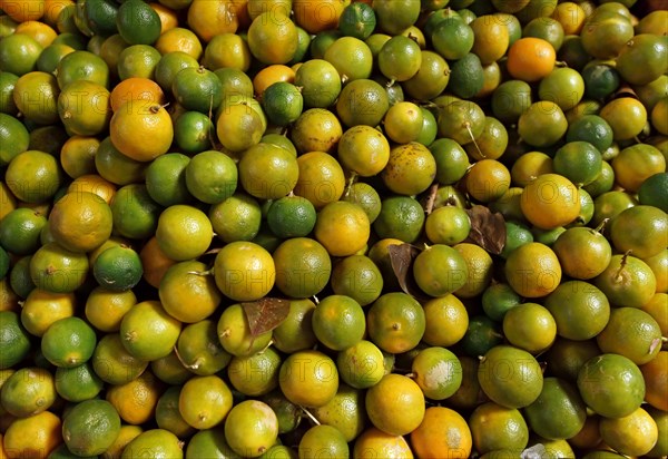 Limes (Citrus aurantiifolia) for sale at a market in Indonesia