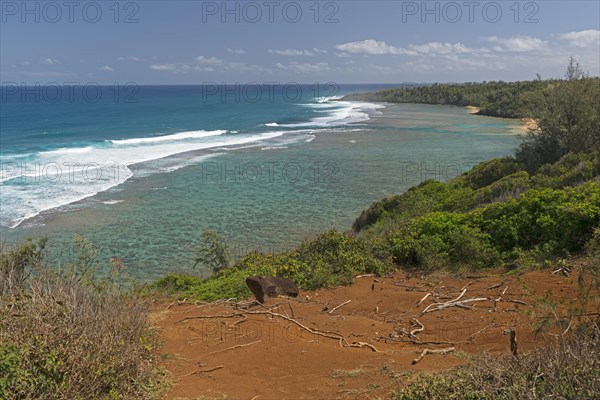 View of the coast from the Pila'a Lookout