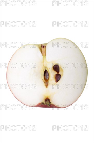 Apple variety Lusatian Clove Apple