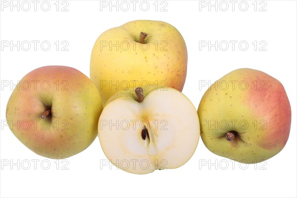 Apple variety Yellow Bellefleur with cut apple