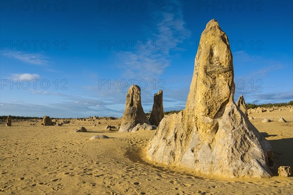 The Pinnacles limestone formations