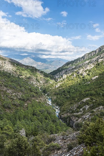 Riverbed of the Tavignano