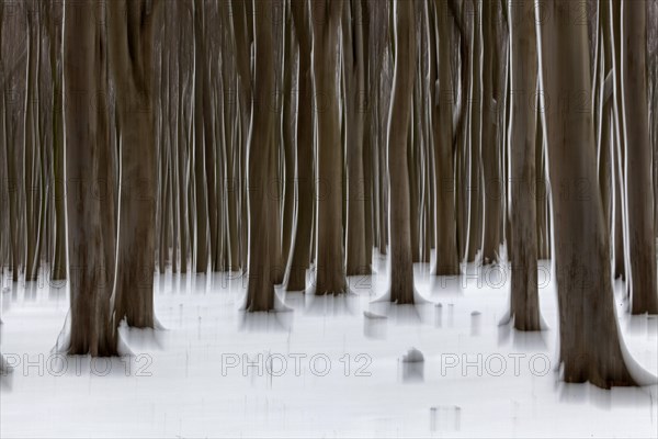 Distorted