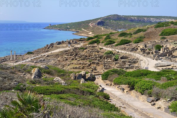 Excavations of the ancient city Tharros