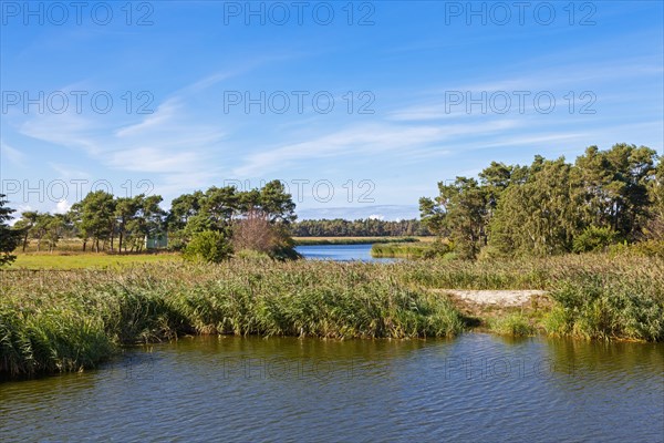 Typical Western Pomeranian Boddenlandscape