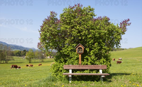 Wayside shrine