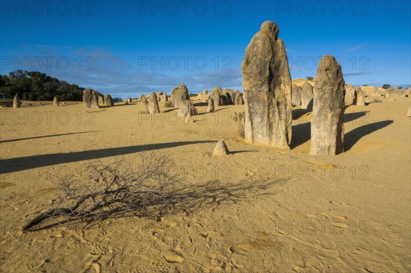 The Pinnacles limestone formations