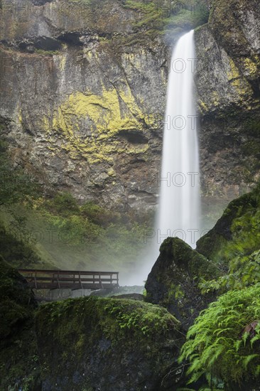Elowah Falls