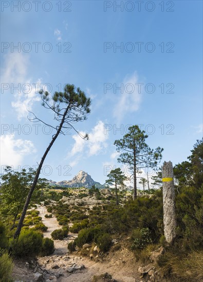 Hiking trail to Piscia di Gallo