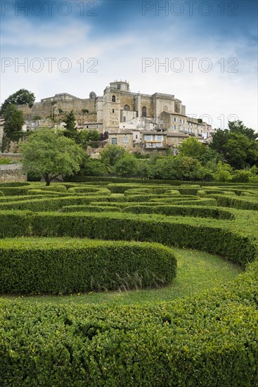 Town view with palace