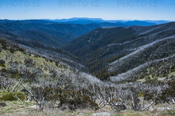 Overlooking the Victorian Alps mountain range