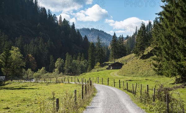 Mountain landscape with alpine cabin