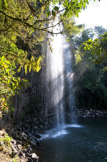 Millaa Millaa Falls