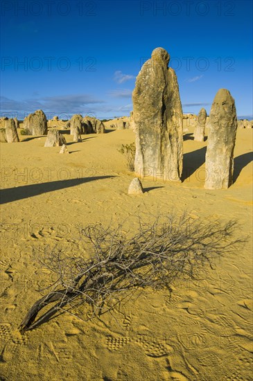 The Pinnacles limestone formations