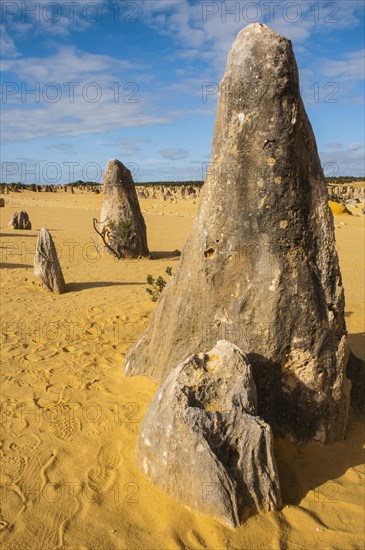The Pinnacles limestone formations