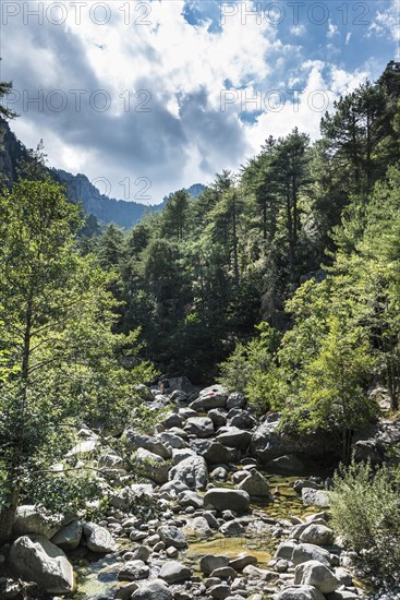 Riverbed of the Tavignano