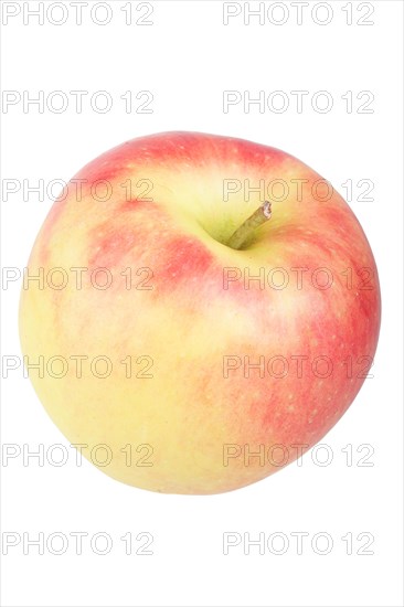 Apple variety Kanzi