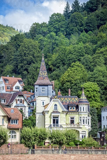 Historic buildings on the banks of the Neckar river