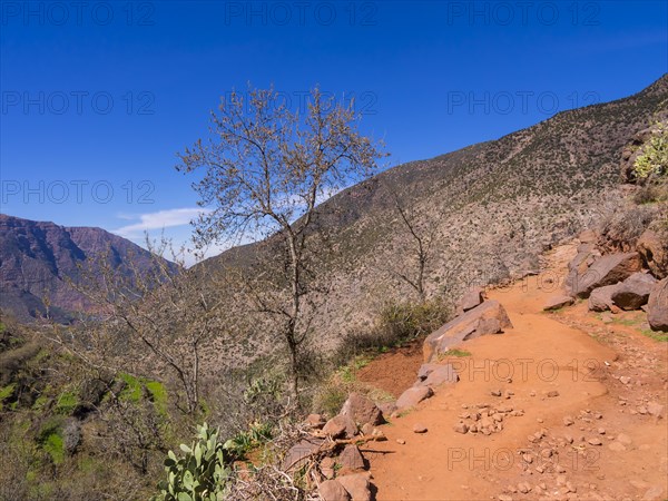 Dirt path in the Ourika Valley