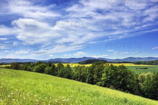 Rychlebske mountains