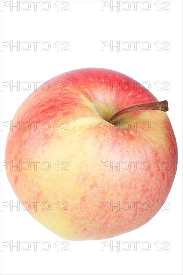 Apple variety Pinova