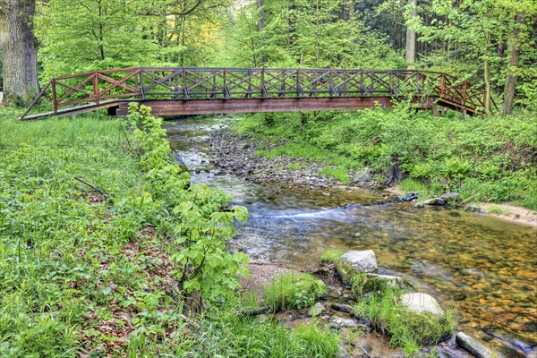 Bridge