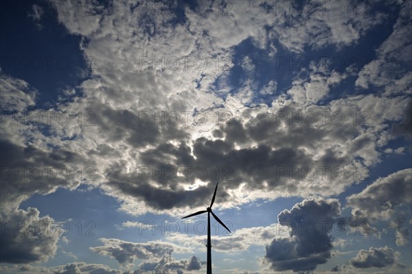 tratocumulus and a wind turbine as a silhouette