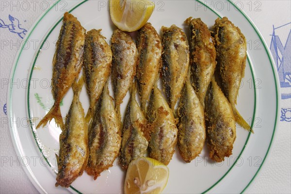 Hamsi