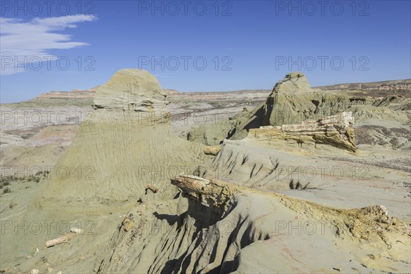 Petrified forest Bosque Petrificado National Monument